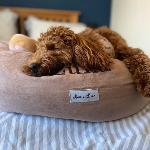 WHY CHOOSE THE LUNA WITH ME DOG BED?