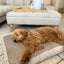 Stone Cushion Dog Bed