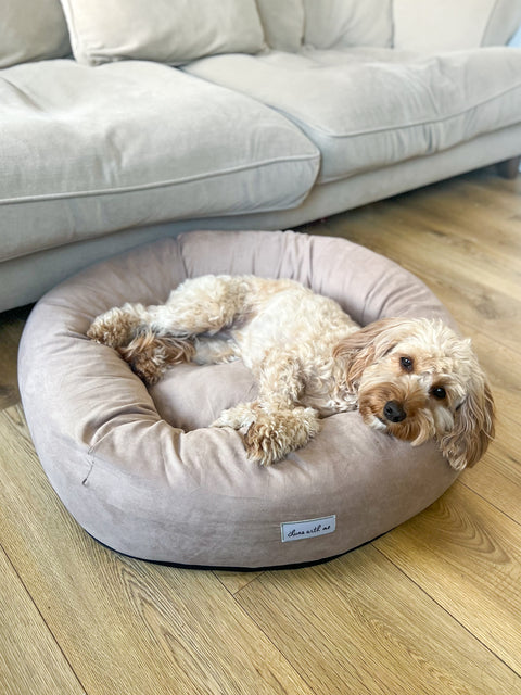 Beige XL Donut Dog Bed