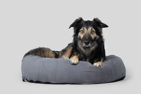 Charcoal Grey XL Donut Dog Bed