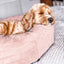 Beige XL Donut Dog Bed