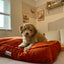 Burnt Orange Cushion Dog Bed