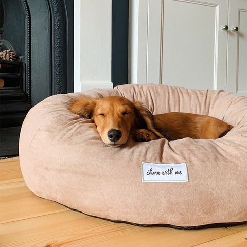 Beige Donut Dog Bed