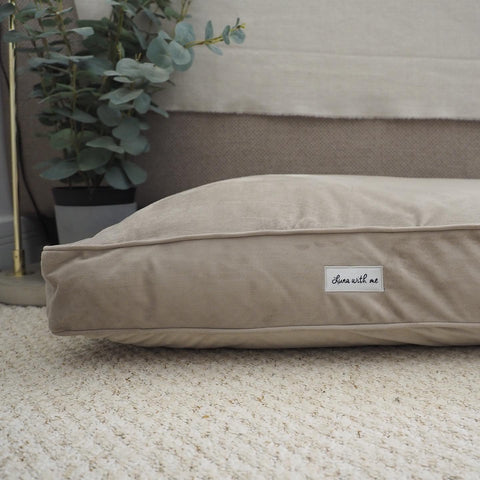 Stone Cushion Dog Bed